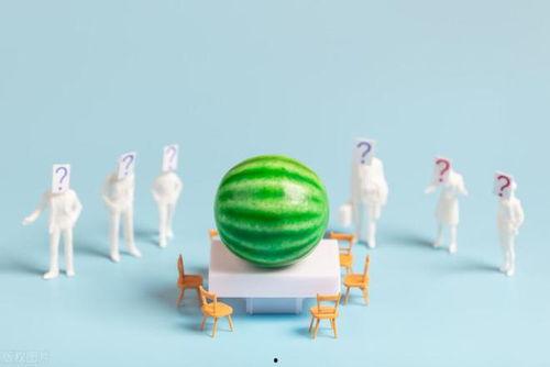 娱乐吃瓜爆料合集,揭秘明星幕后故事与精彩瞬间